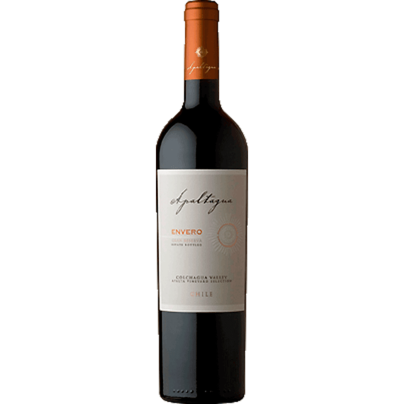 Imagen de VINO APALTAGUA GRAN RVA ENVERO CARMENERE 750 ML