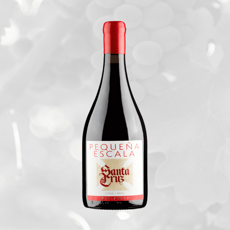 Imagen de VINO PEQUEÑA ESCALA PAIS SANTA CRUZ 750 ML