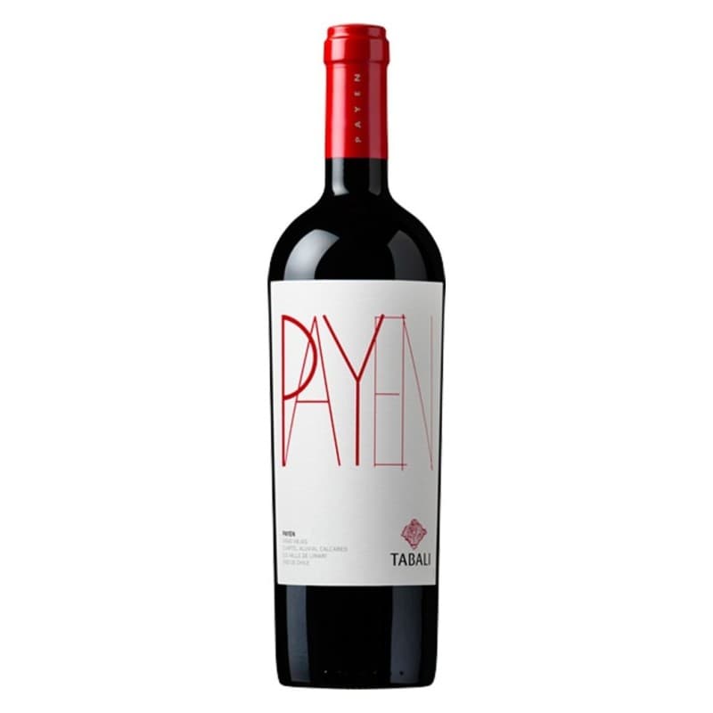 Imagen de VINO TABALI PAYEN 750ML
