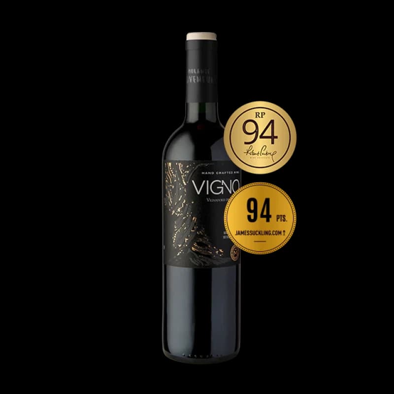Imagen de VINO VIGNO HECHO A MANO VIGNADORES DE CARIGMAN 750 CC