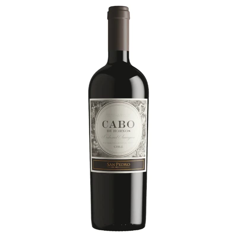 Imagen de VINO CABO DE HORNOS CAB SAUV 2021 750ML
