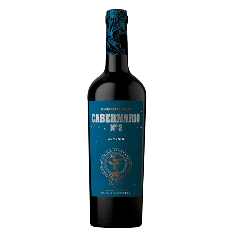 Imagen de VINO CABERNARIO N°2 CARMENERE 750 CC