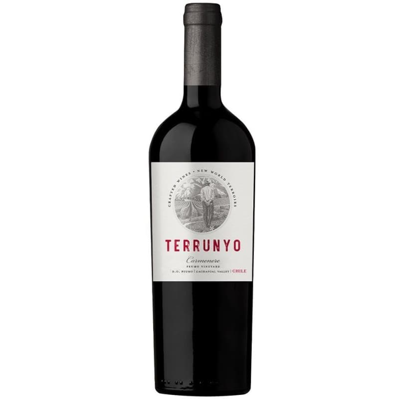 Imagen de VINO TERRUNYO CARMENERE 750 ML