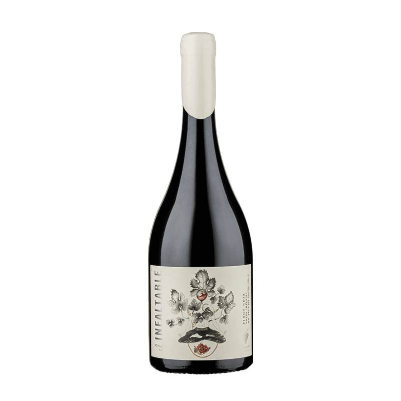 Imagen de VINO PINOT NOIR EL INFALTABLE 750ML