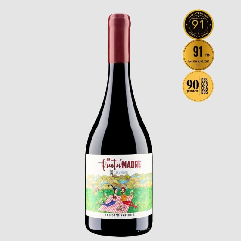 Imagen de VINO VALLE SECRETO DE FRUTA MADRE CARMENERE 750 ML